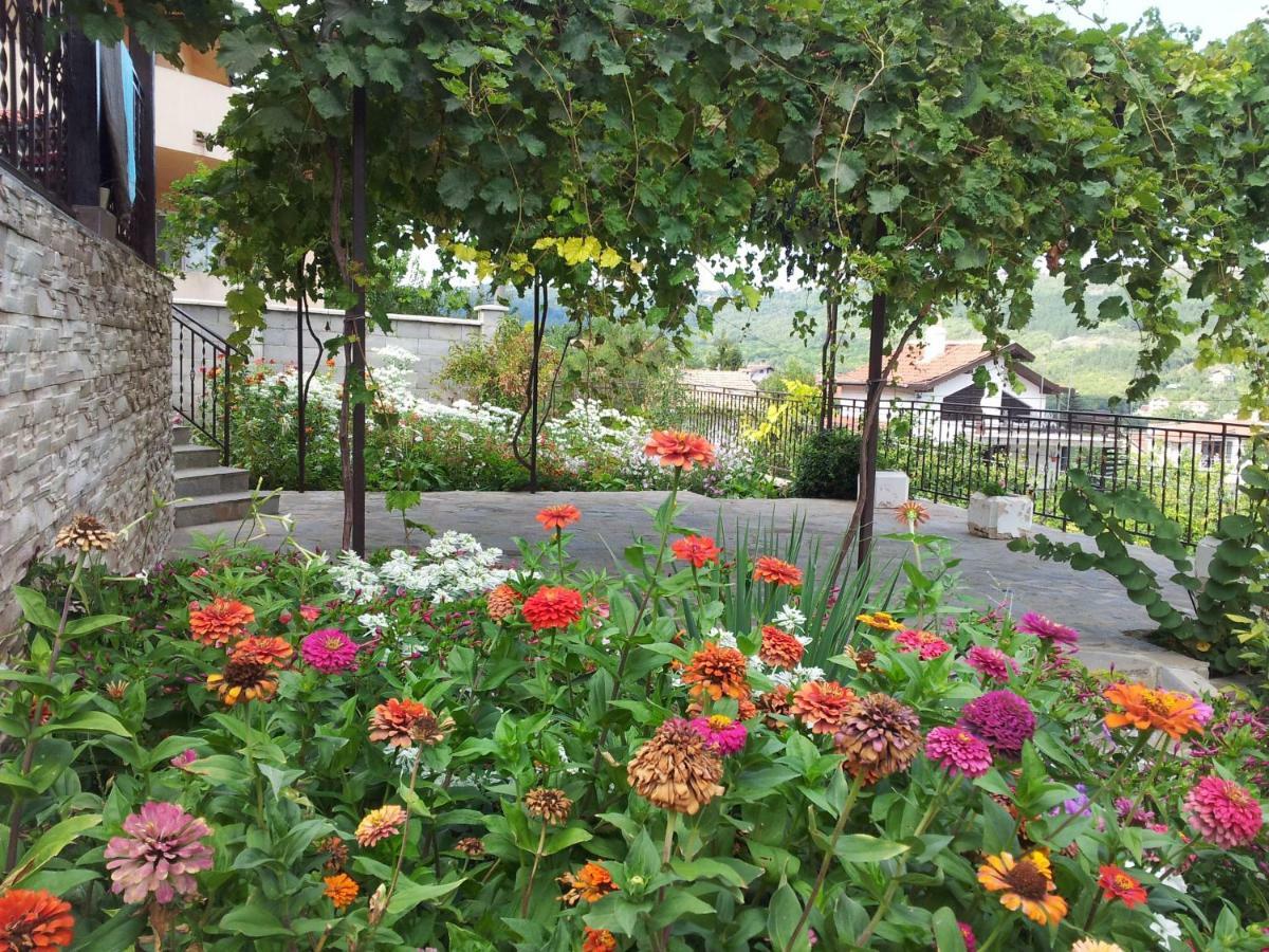 Villa Visoka Balčik Exteriér fotografie